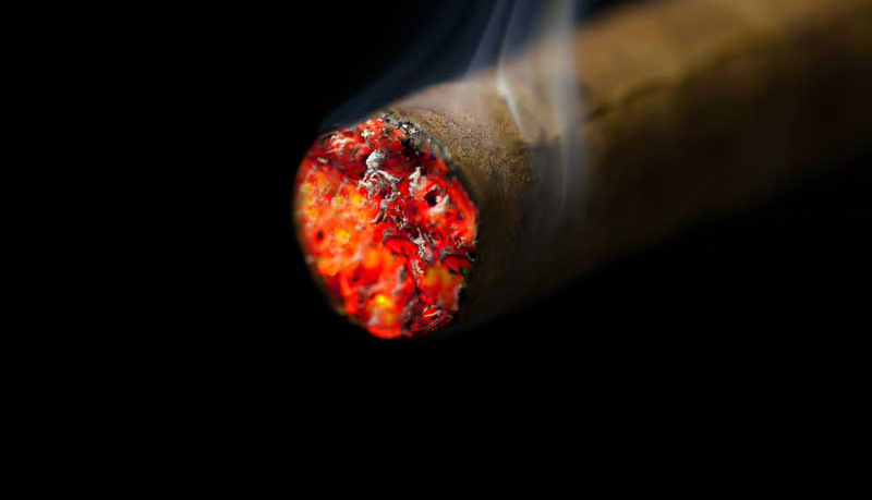 Evenly glowing foot of a freshly lit premium cigar
